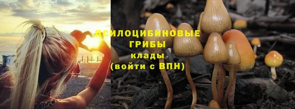 крисы Каменск-Шахтинский