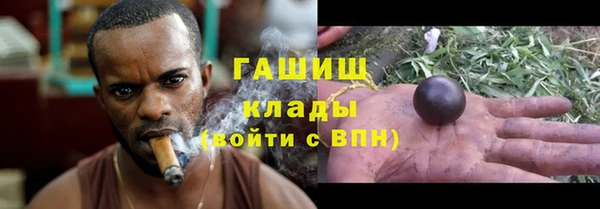 PSILOCYBIN Каменногорск