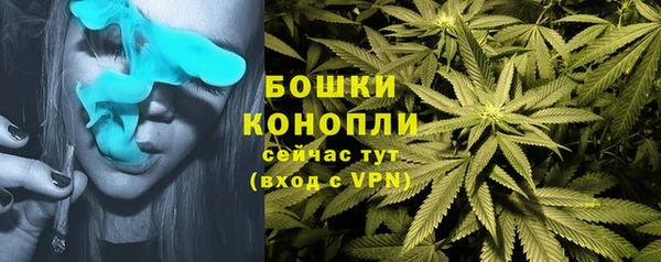 PSILOCYBIN Каменногорск
