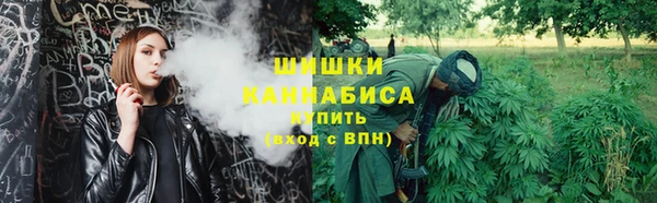 PSILOCYBIN Каменногорск