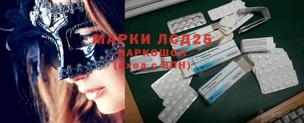 PSILOCYBIN Каменногорск