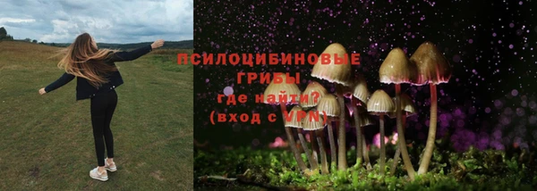 первитин Каменка