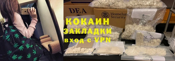 PSILOCYBIN Каменногорск