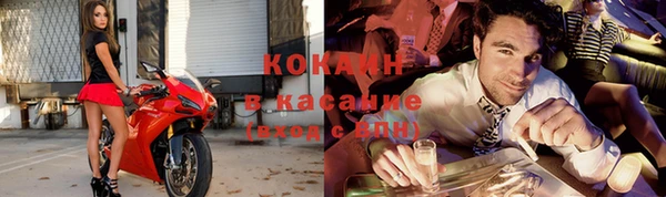 PSILOCYBIN Каменногорск