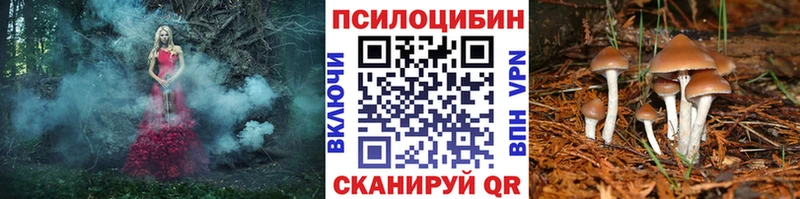 Купить закладки  Добрянка  Псилоцибиновые грибы GOLDEN TEACHER 